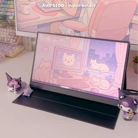 Portable display